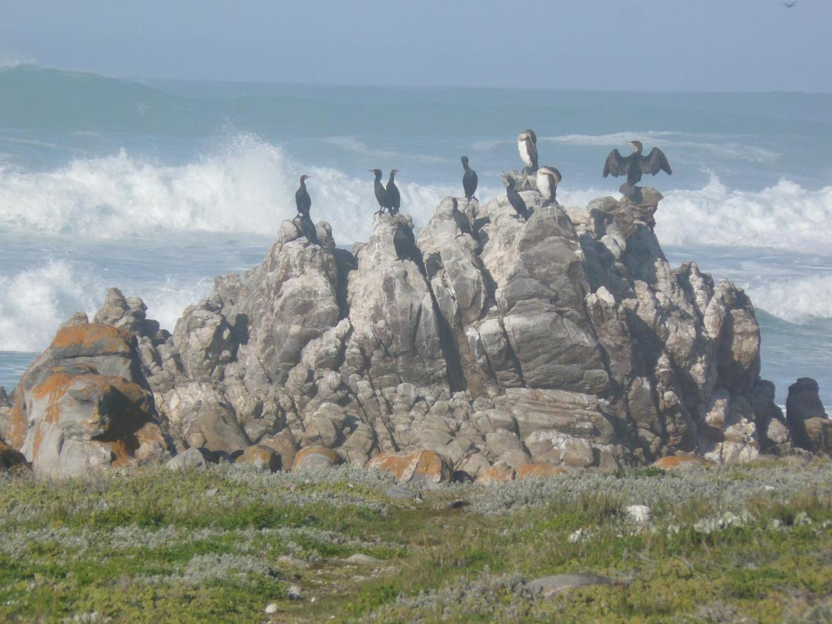 House Of 2 Oceans Daire Agulhas Dış mekan fotoğraf