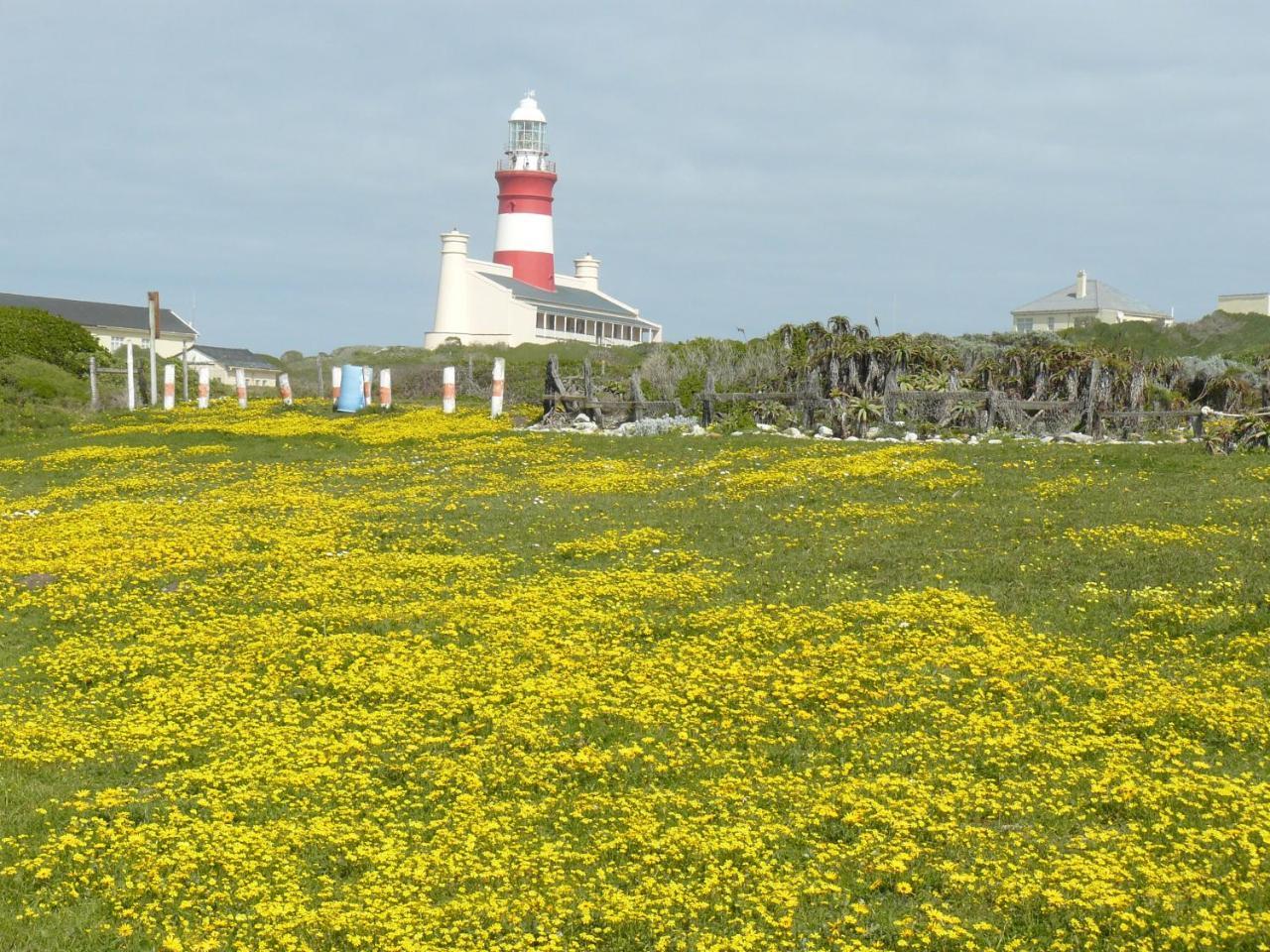 House Of 2 Oceans Daire Agulhas Dış mekan fotoğraf